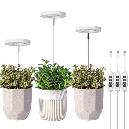 Grow Lamp For Indoor Plants