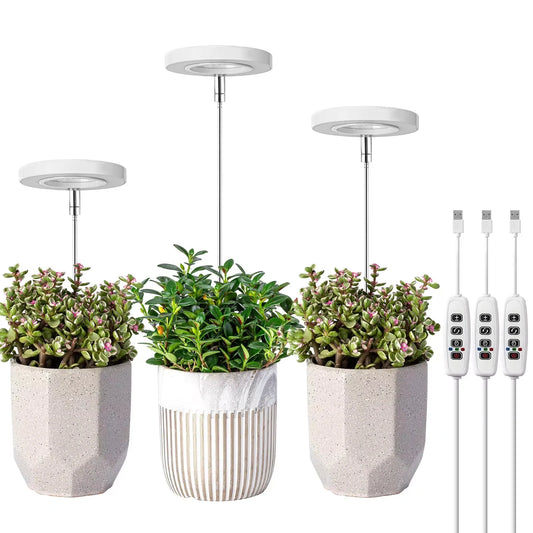 Grow Lamp for Indoor Solar Plants