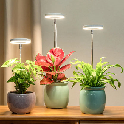 Grow Lamp For Indoor Plants